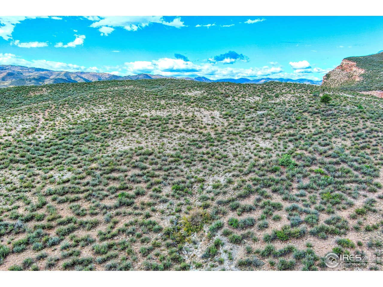 3501 Raptor Ridge Lane Laporte, CO 80535 - Photo 14 of 22