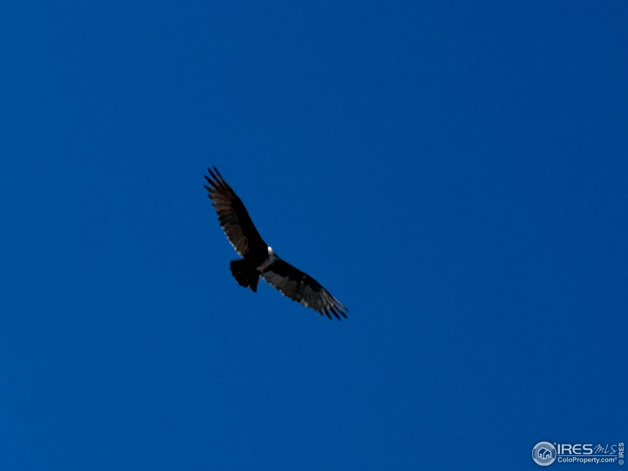 3501 Raptor Ridge Lane Laporte, CO 80535 - Photo 20 of 22 a view of entryway