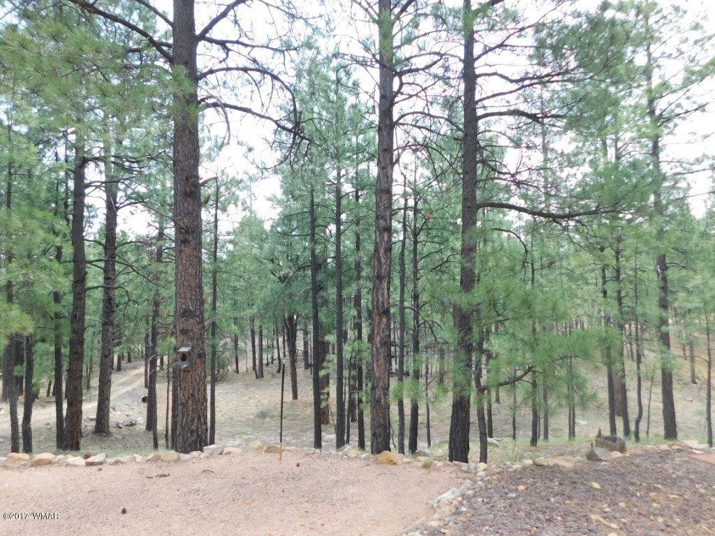 2749 Canyon Ridge Road Overgaard, AZ 85933 - Photo 10 of 25 a view of outdoor space with trees