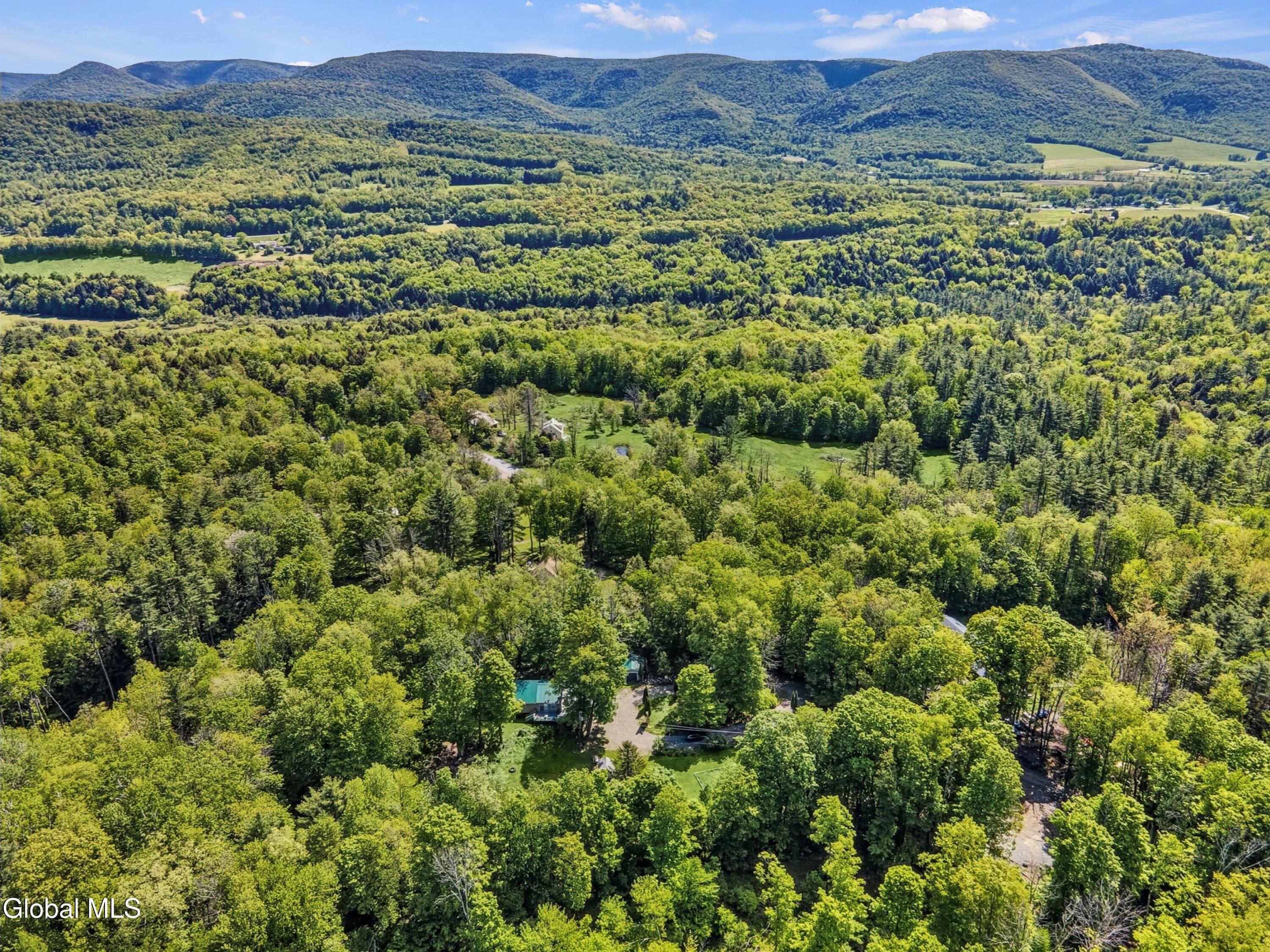 633 Moore Hill Road Stephentown, NY 12168 - Photo 30 of 41 29-print-029-633-moore-hill-road-stephen