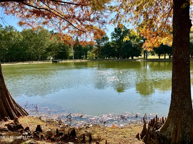 $875,000 | 88 Bozeman-Paine Circle, Madison, MS 39110