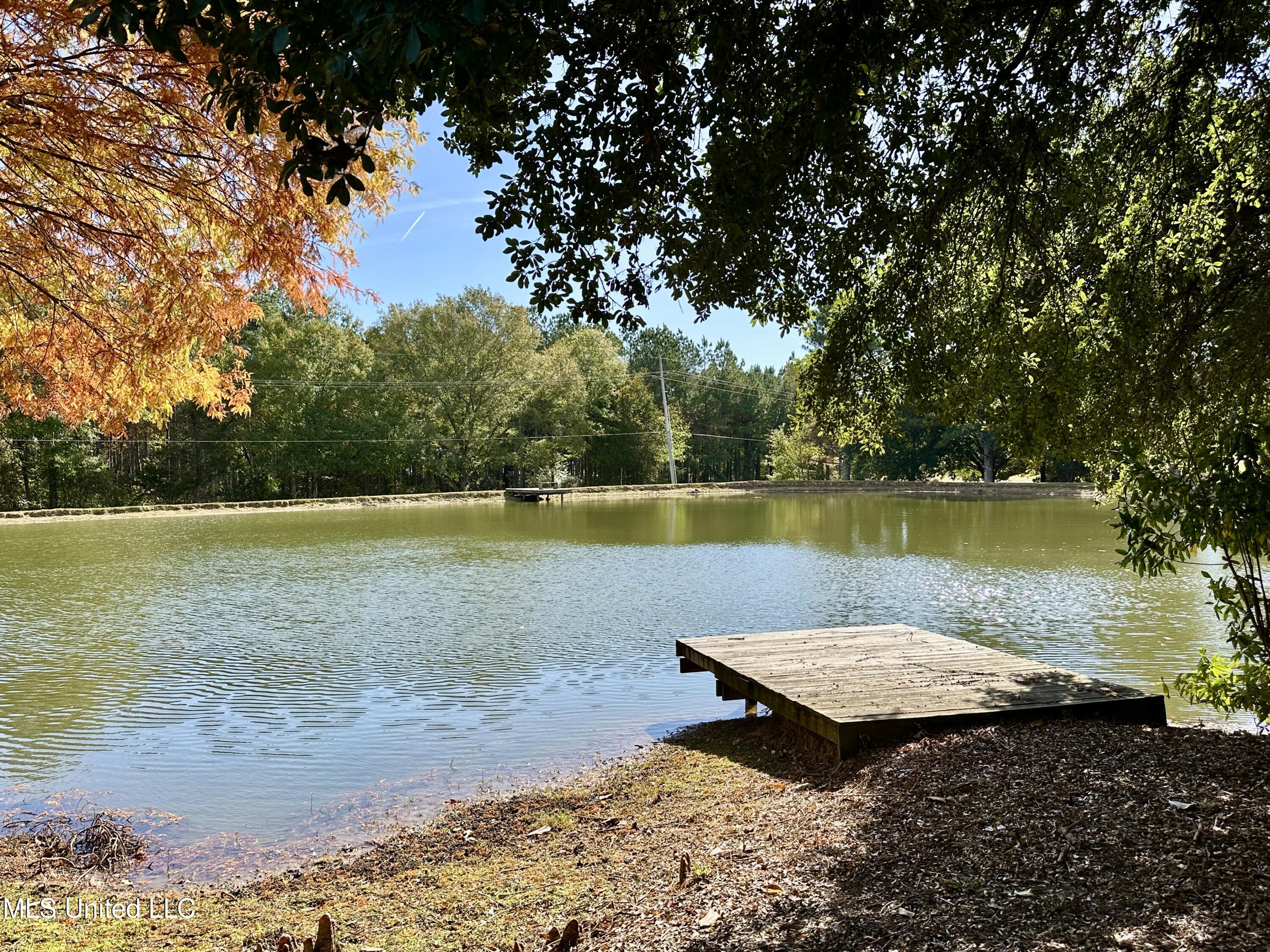 88 Bozeman-Paine Circle Madison, MS 39110 - Photo 103 of 105 IMG_0433