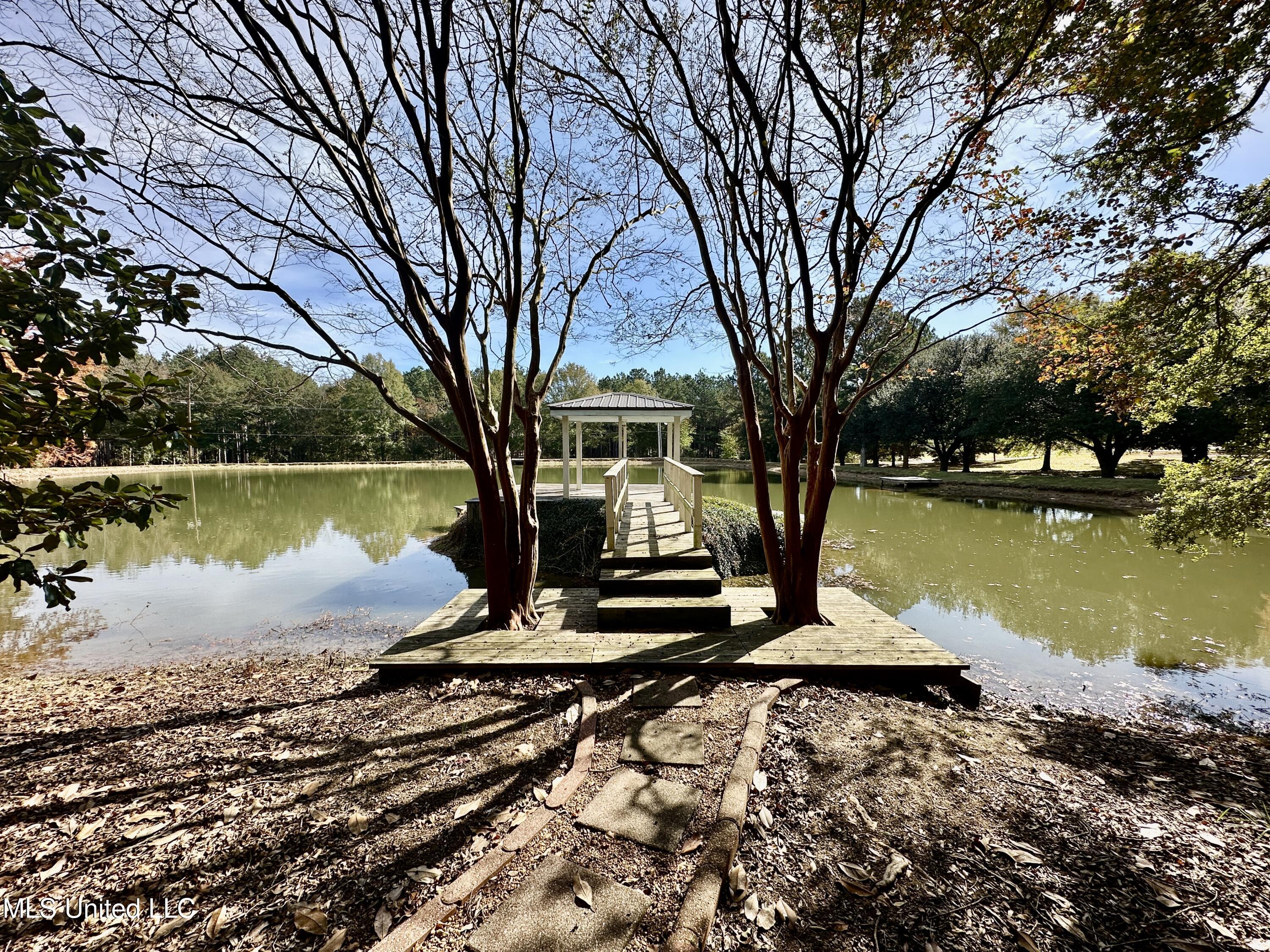 88 Bozeman-Paine Circle Madison, MS 39110 - Photo 104 of 105 IMG_0441