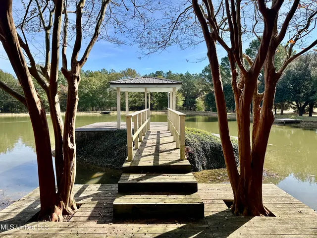 $875,000 | 88 Bozeman-Paine Circle, Madison, MS 39110