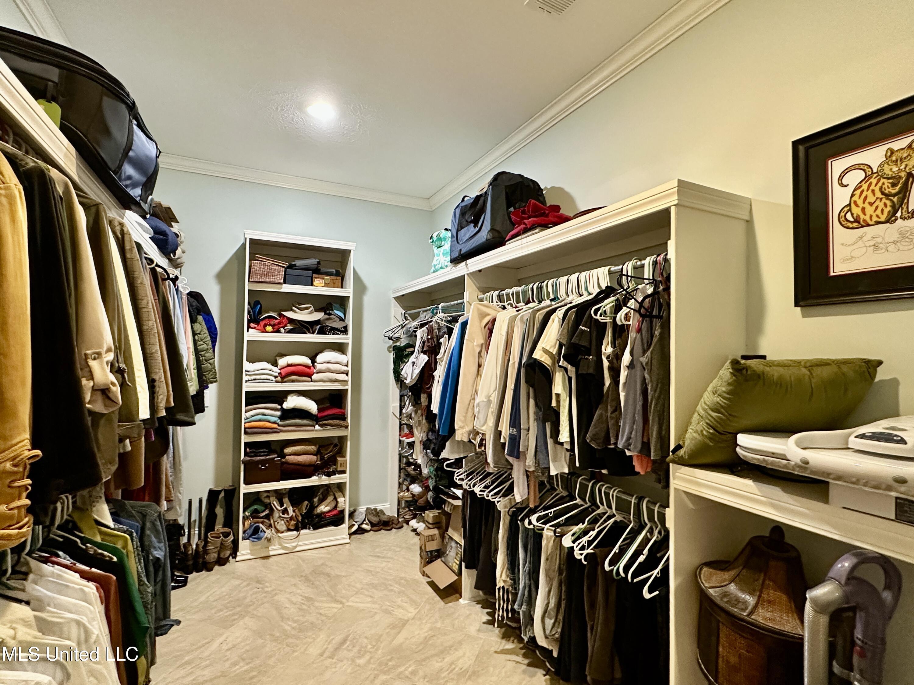 88 Bozeman-Paine Circle Madison, MS 39110 - Photo 44 of 105 IMG_0493