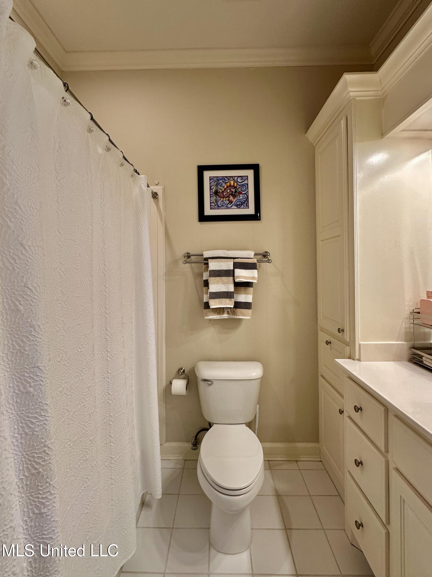 88 Bozeman-Paine Circle Madison, MS 39110 - Photo 60 of 105 IMG_0533