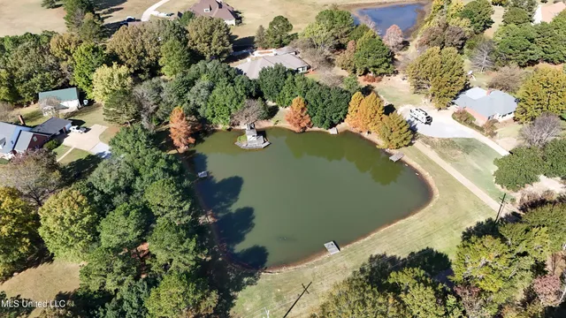 $875,000 | 88 Bozeman-Paine Circle, Madison, MS 39110