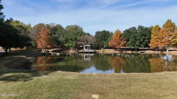 $865,000 | 88 Bozeman-Paine Circle, Madison, MS 39110