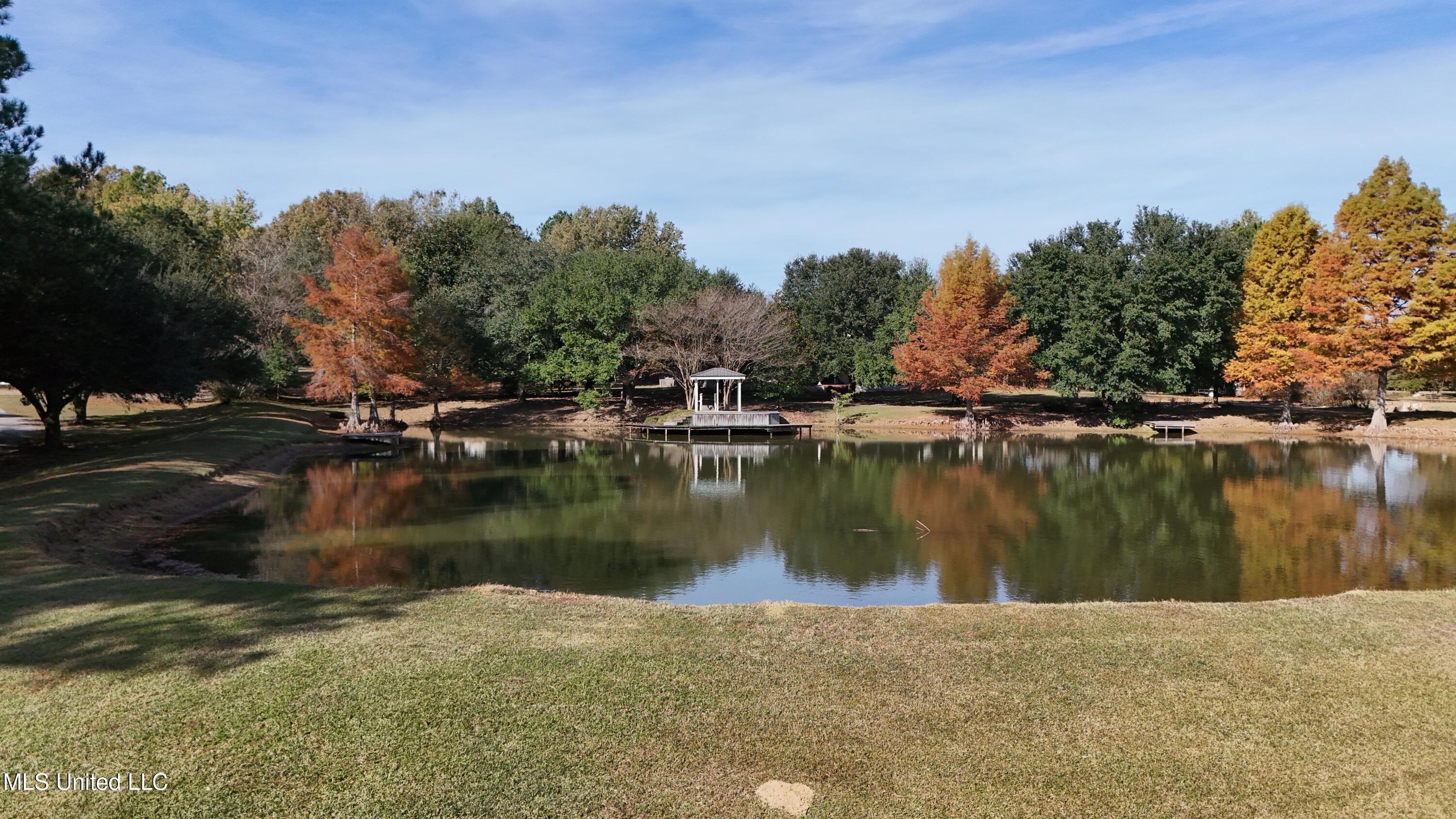 88 Bozeman-Paine Circle Madison, MS 39110 - Photo 89 of 105 dji_fly_20251112_095802_0443_17629869624