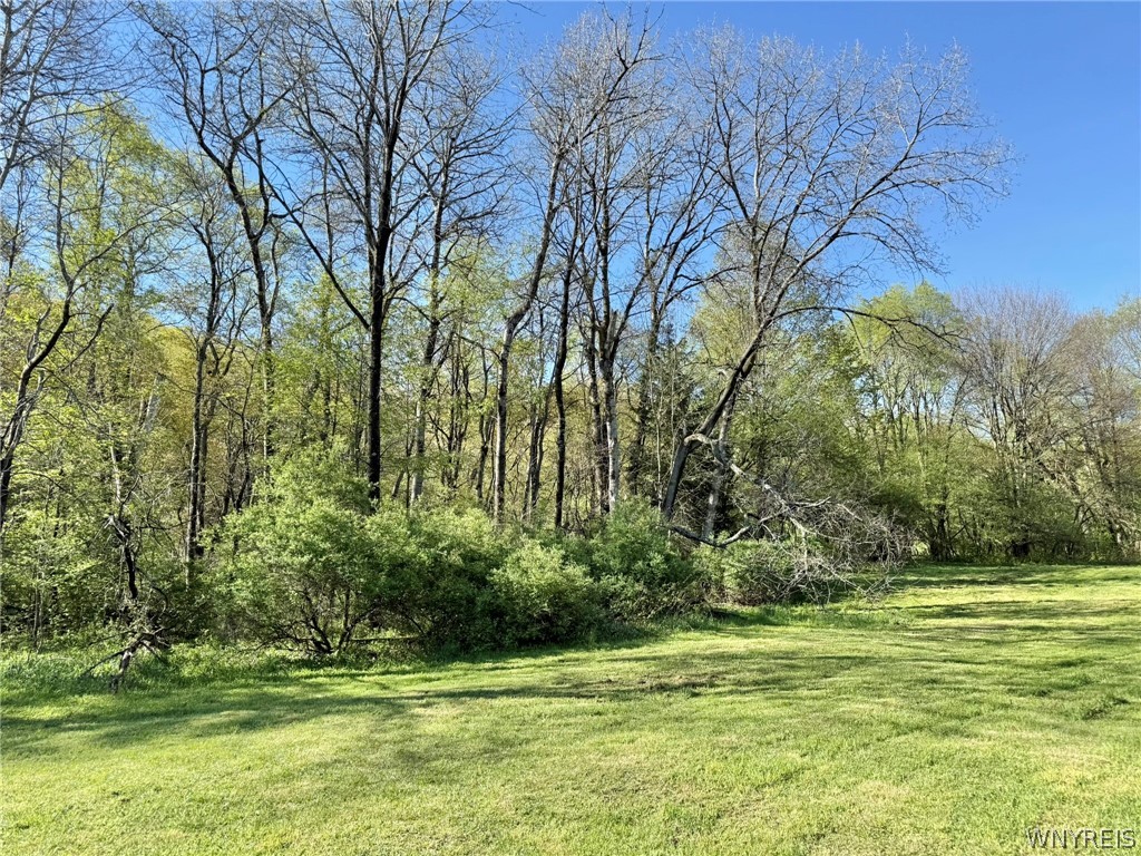 3137 Bear Creek Road Machias, NY 14737 - Photo 11 of 50