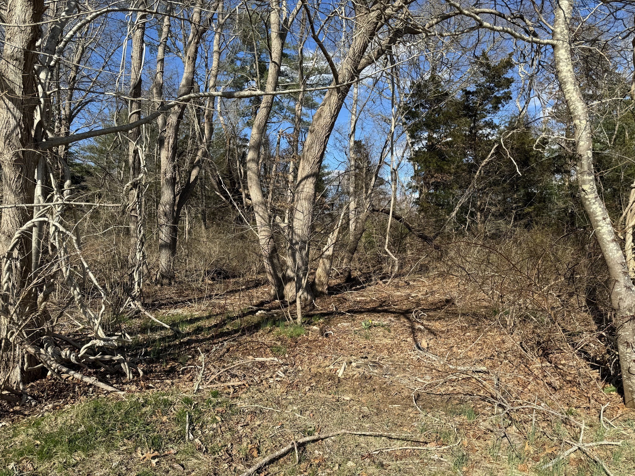 0 Acushnet Road Mattapoisett, MA 02739 - Photo 4 of 10 Gallery Image 4