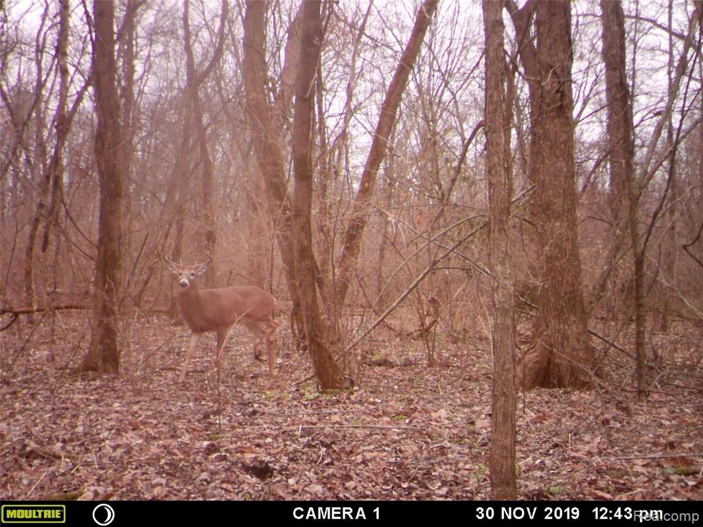 4100 Blackman Road Jackson, MI 49201 - Photo 16 of 26