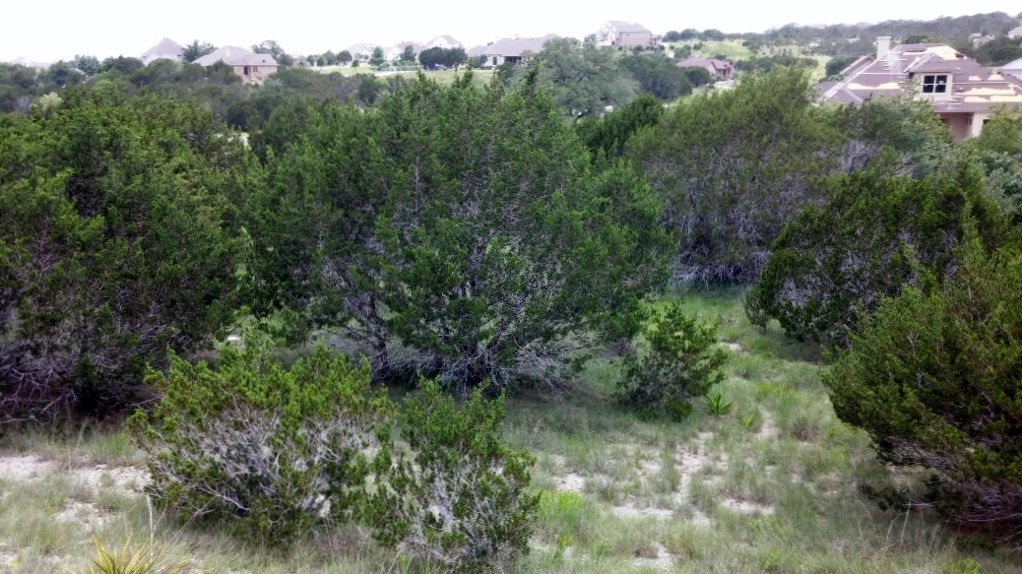 878 Tom Sawyer Road Austin, TX 78737 - Photo 1 of 1 Gallery Image 1