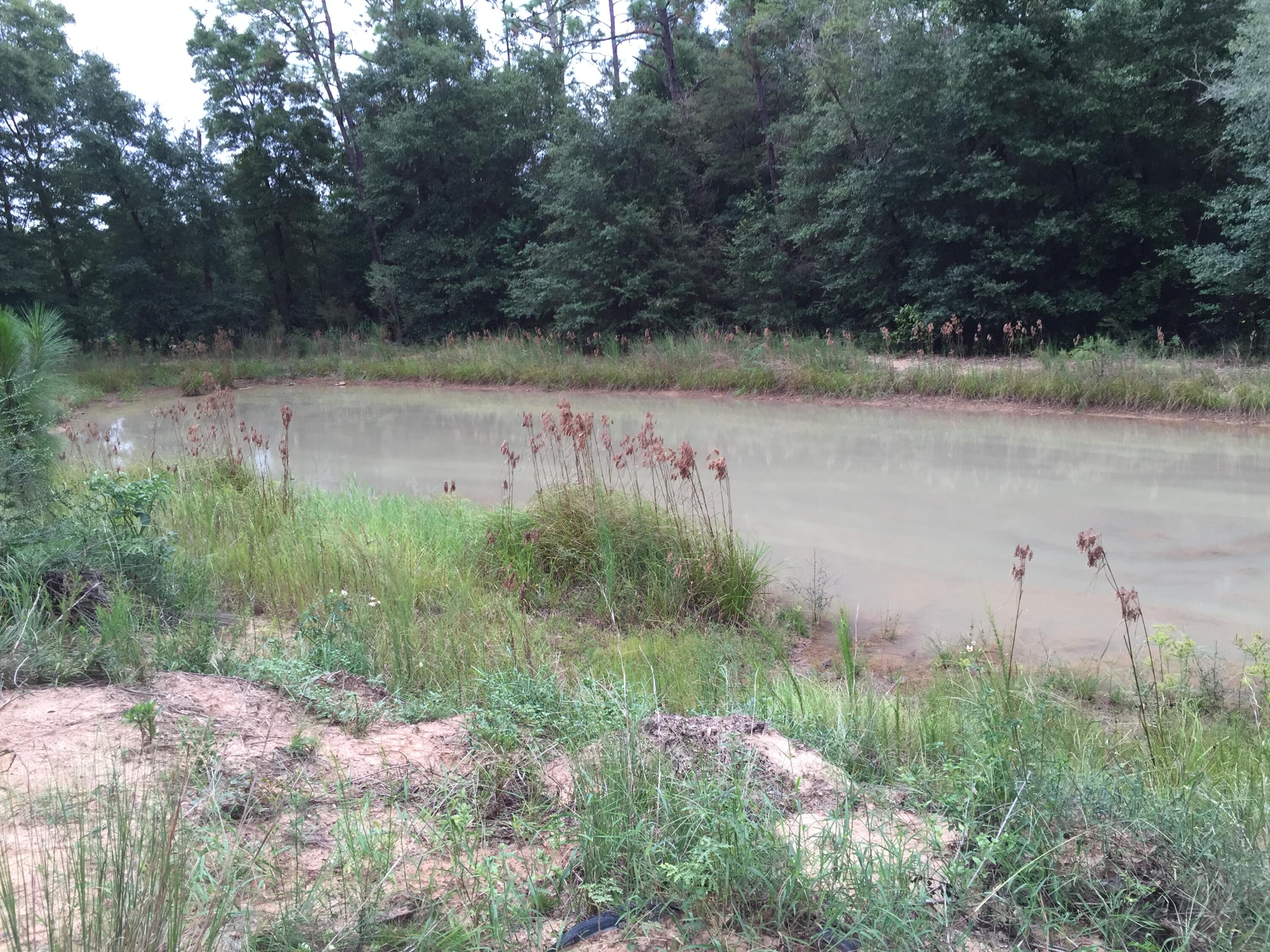 6039 Fairlands Road Milton, FL 32583 - Photo 4 of 6 a view of a lake