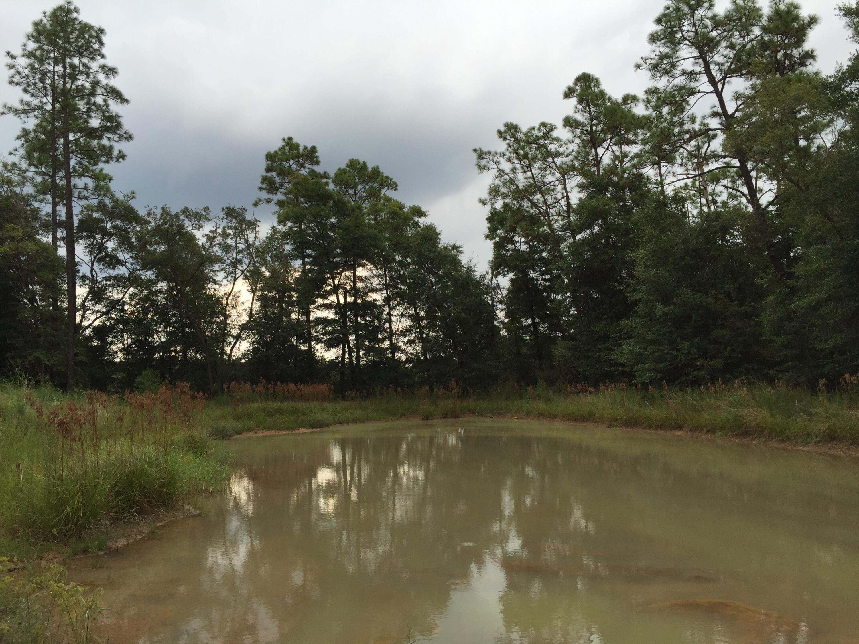 6039 Fairlands Road Milton, FL 32583 - Photo 5 of 6 a view of a lake