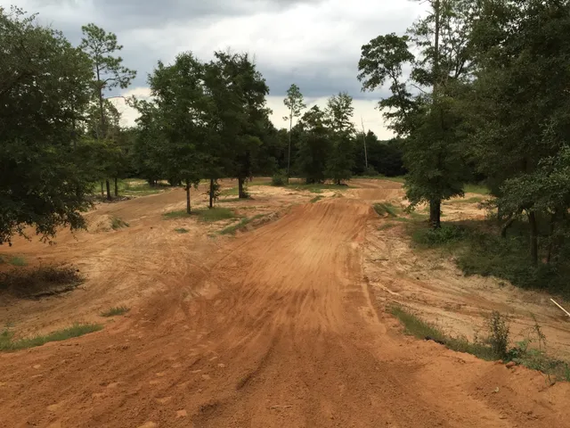 a view of swimming pool with a yard