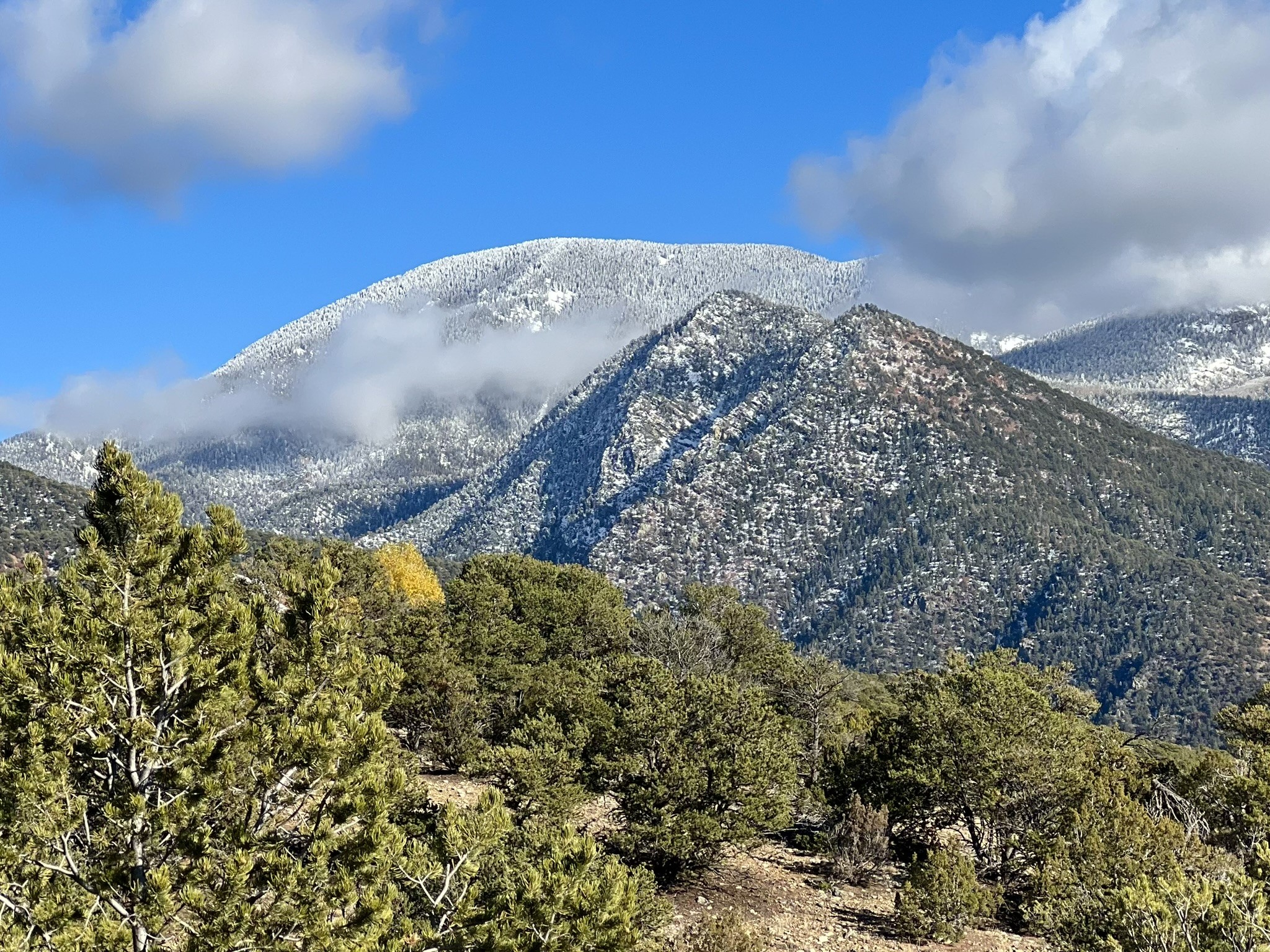 0 Gallina Canyon Road Valdez, NM 87580 - Photo 14 of 24