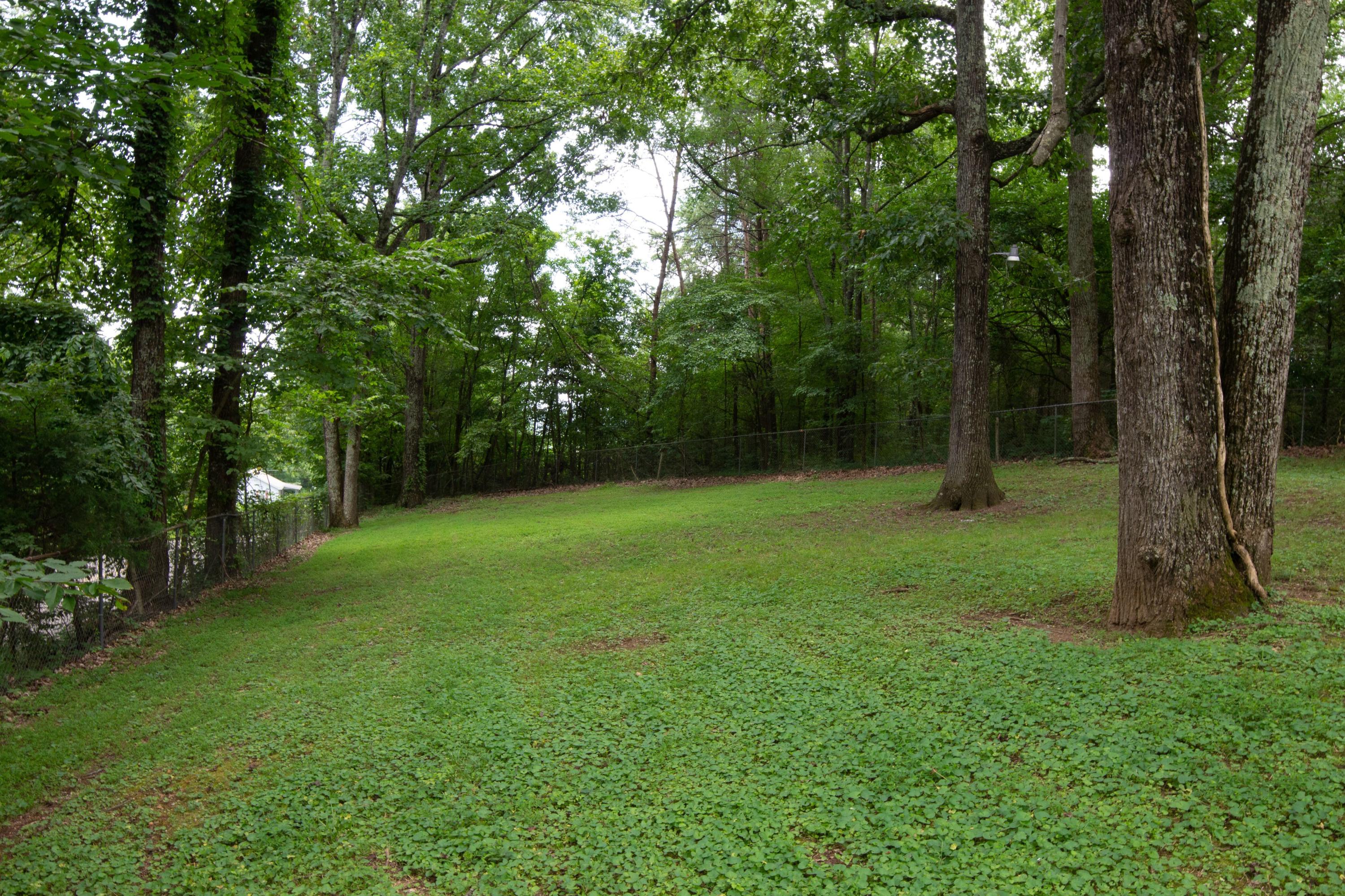 3207 Clear Springs Road Mascot, TN 37806 - Photo 19 of 19 Fenced yard, lots of shade for kids/pets