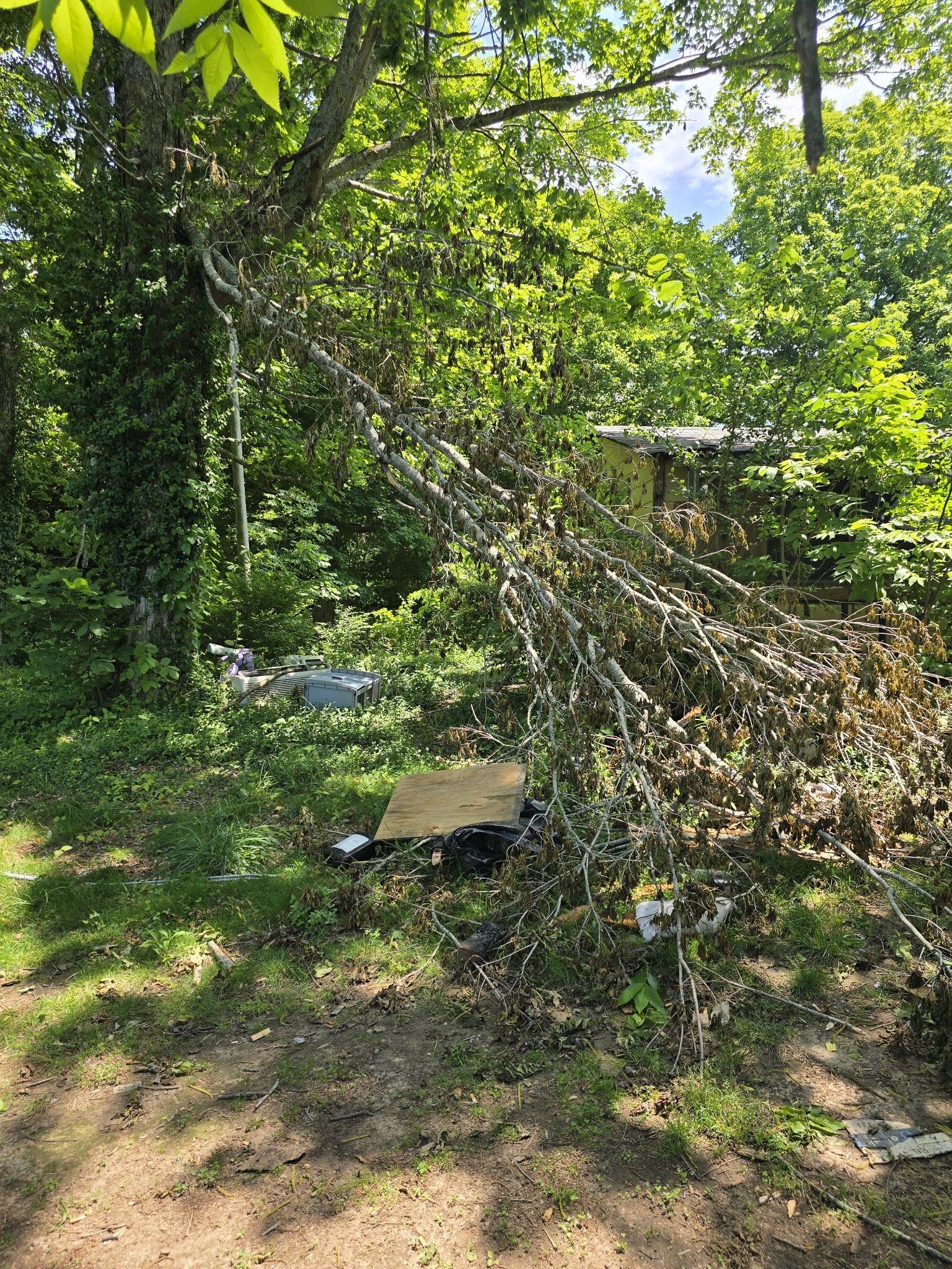 701 Stinson Road Bon Aqua, TN 37025 - Photo 34 of 57