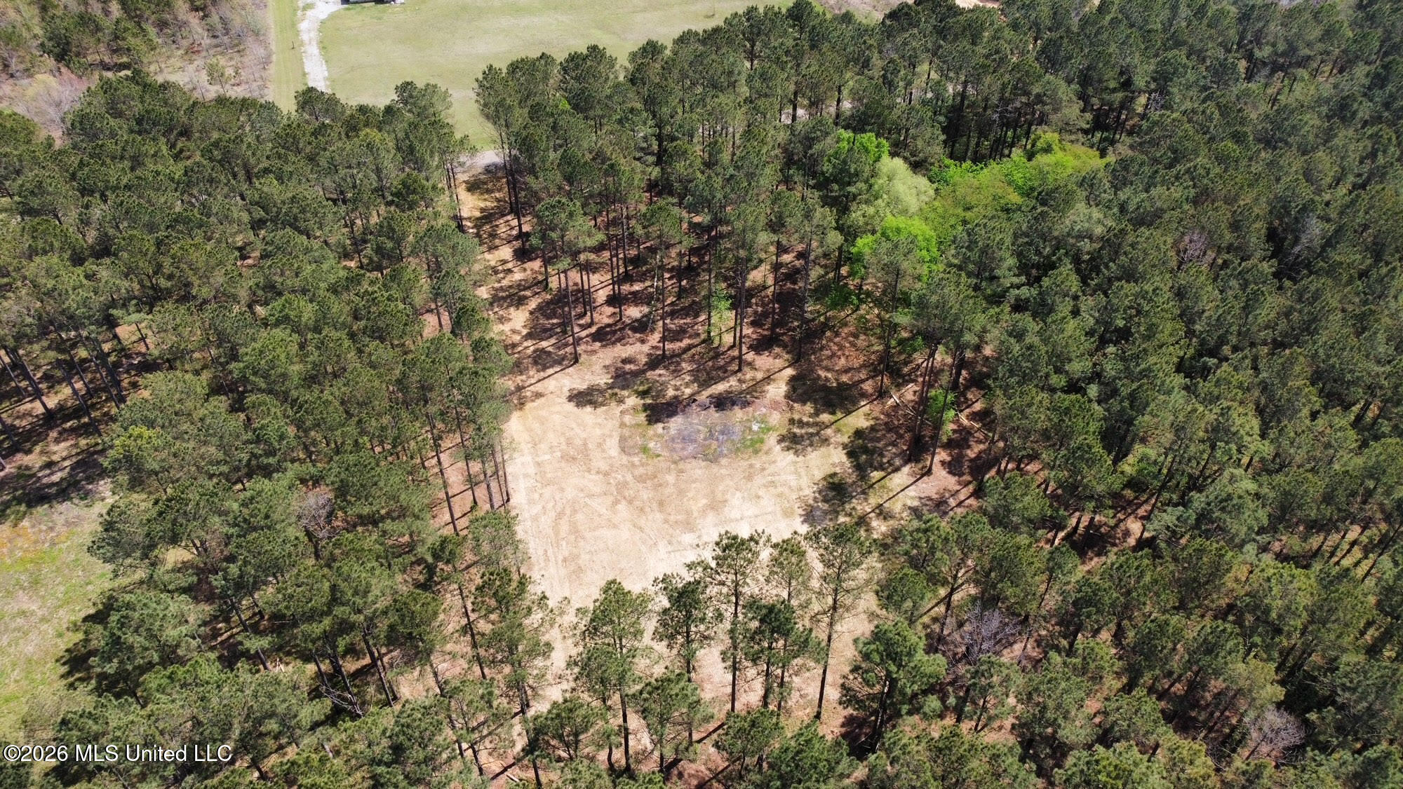 2 Morgan Road Canton, MS 39046 - Photo 16 of 19 16