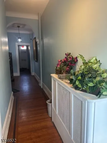 a view of a yard with large trees