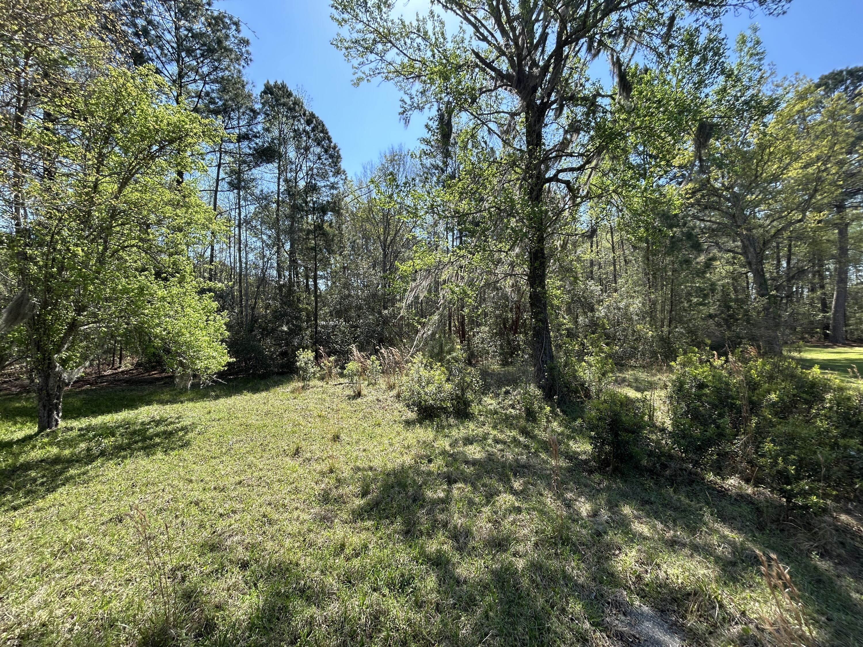 5795 Dixie Plantation Road Hollywood, SC 29449 - Photo 3 of 9 IMG_2108