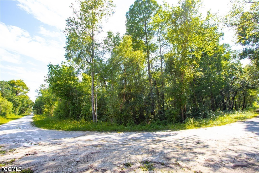 33464 Packingham Drive Webster, FL 33597 - Photo 2 of 7