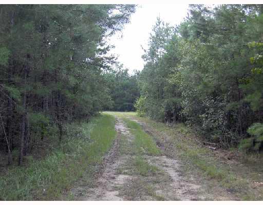 0 Spencer Road Magnolia, MS 39652 - Photo 1 of 8 Gallery Image 1