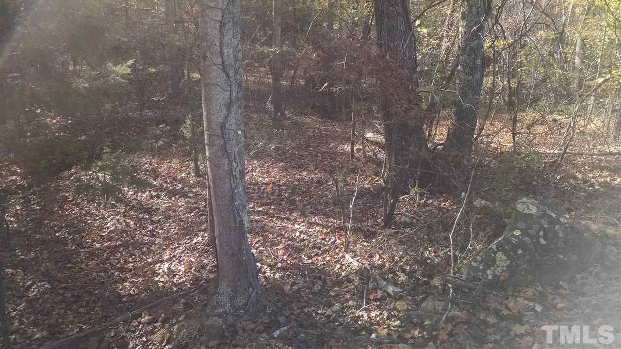 7903 McKee Road, Unit LOT#A Rougemont, NC 27572 - Photo 3 of 5