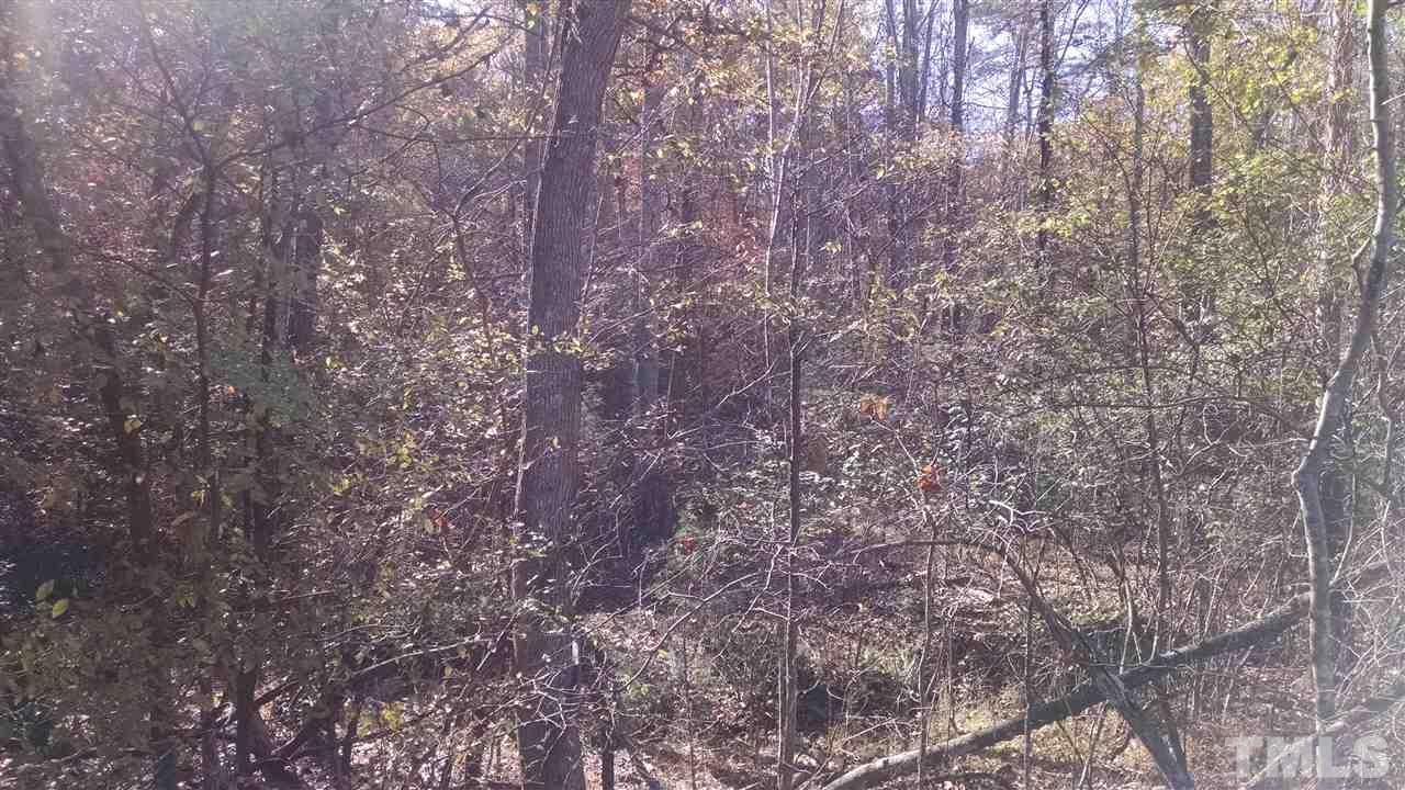 7903 McKee Road, Unit LOT#A Rougemont, NC 27572 - Photo 5 of 5