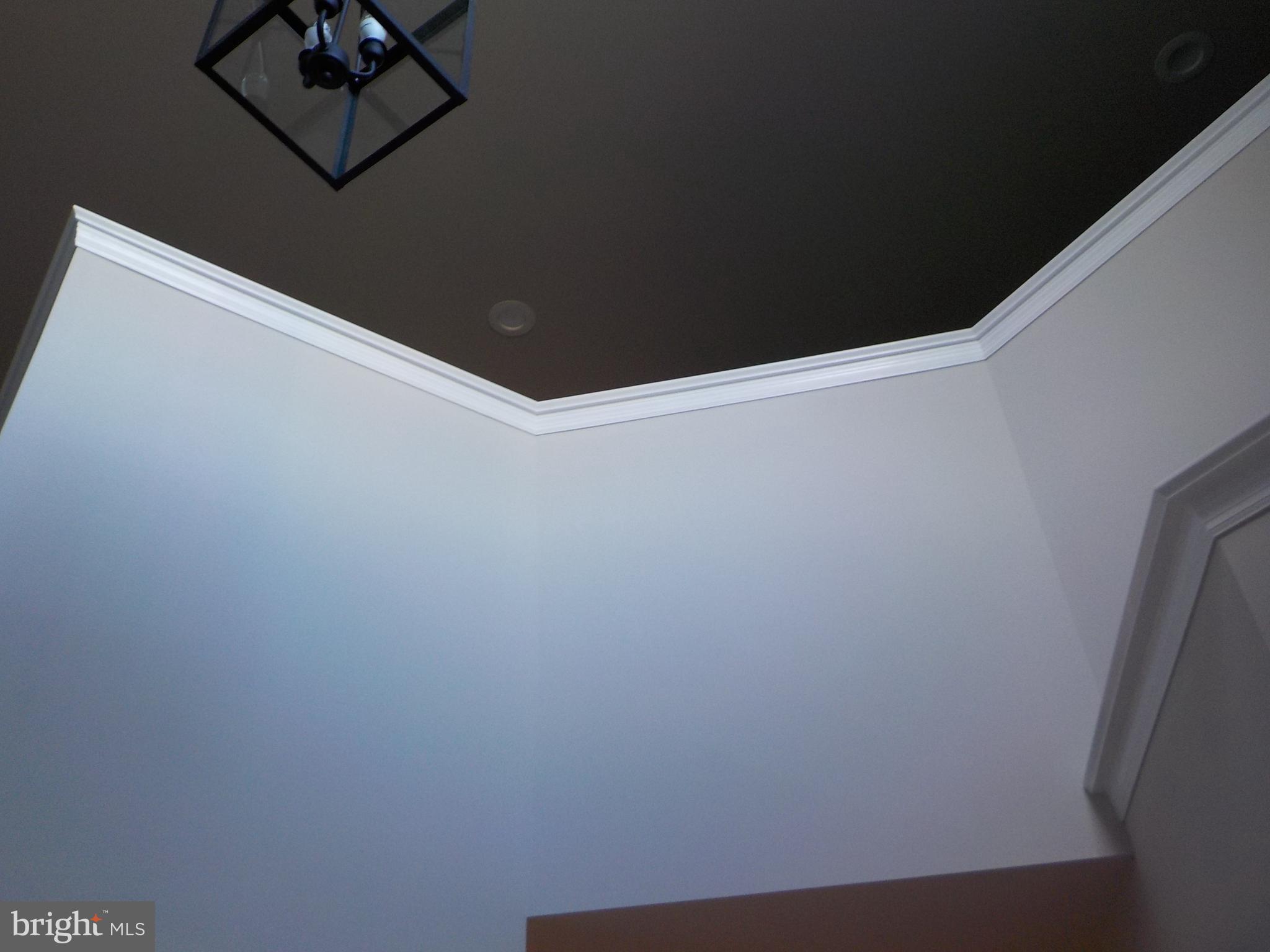 126 Gantz Meadows Mount Joy, PA 17552 - Photo 15 of 29 view looking over the loft