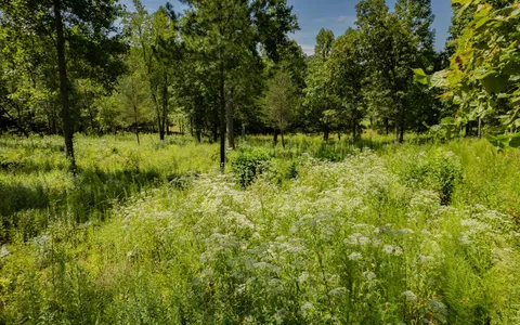 $90,000 | 26 Arbor Creek Trail, Mineral Bluff, GA 30559