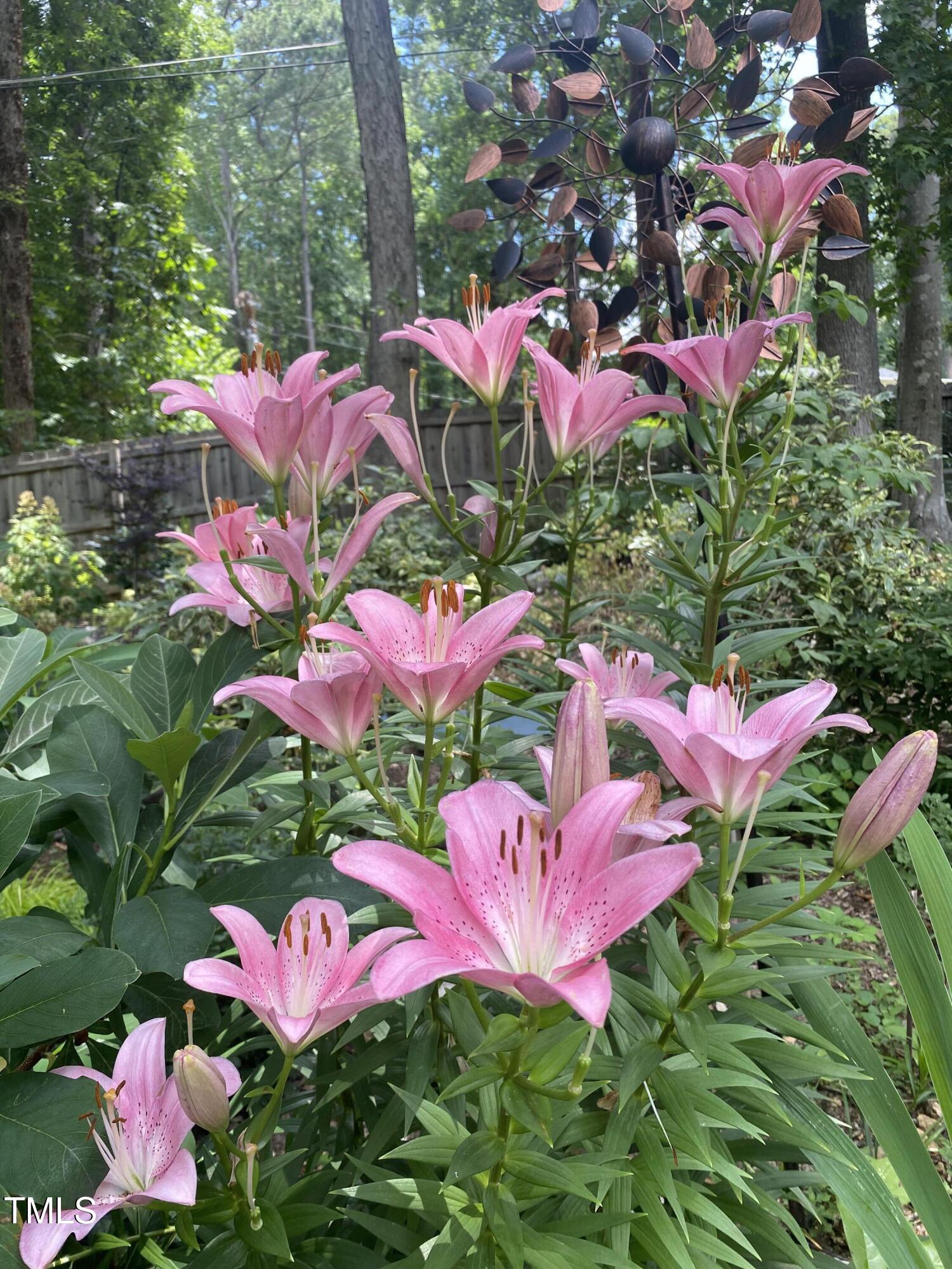 606 Chalice Street Durham, NC 27705 - Photo 34 of 41 a view of a flower in a garden