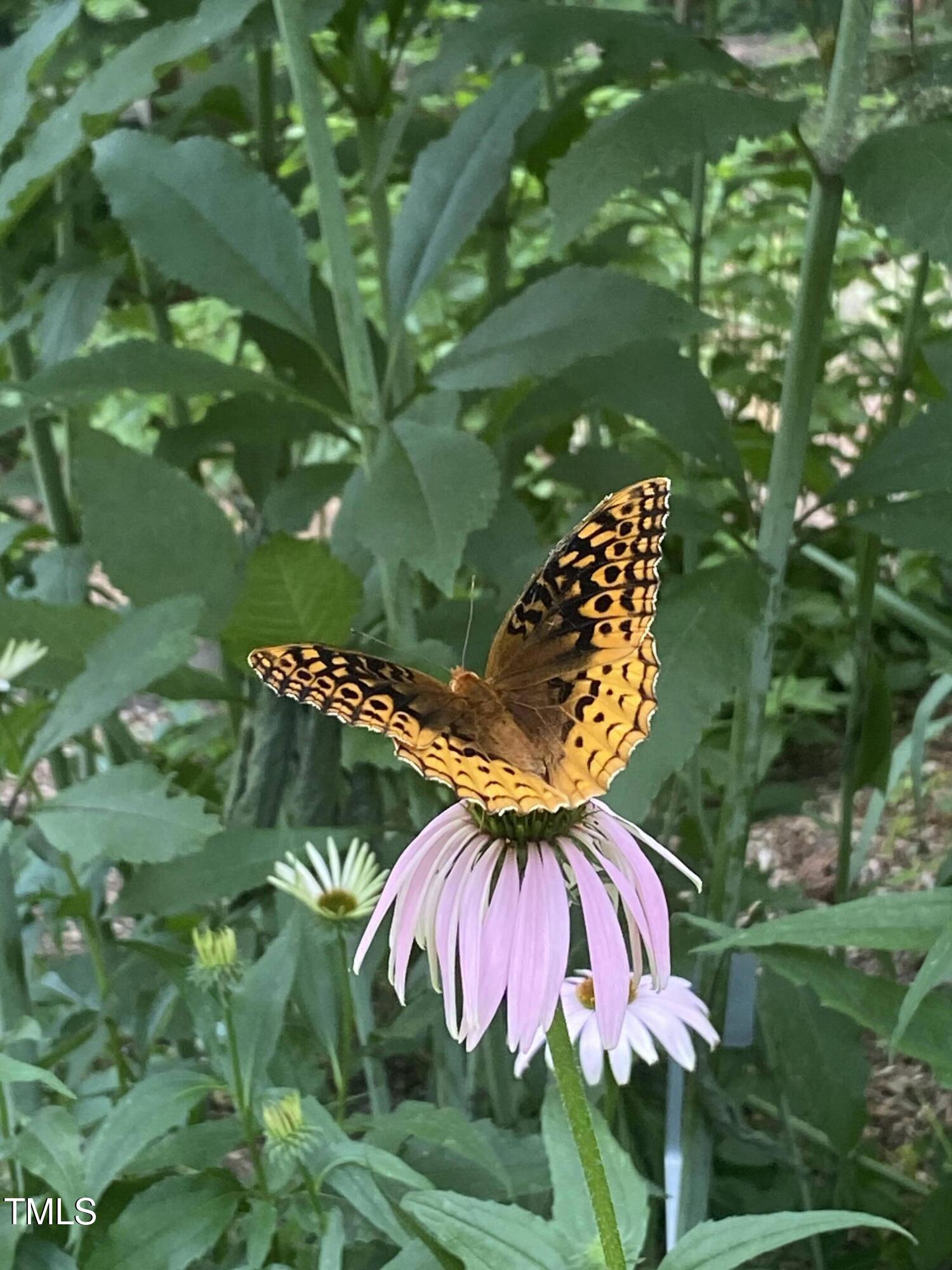 606 Chalice Street Durham, NC 27705 - Photo 35 of 41 a view of a lake