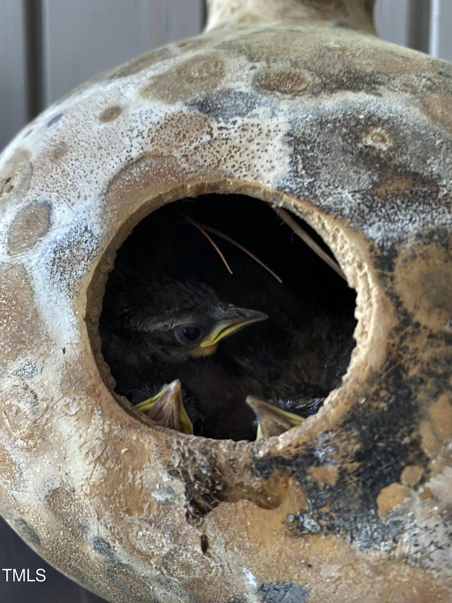 606 Chalice Street Durham, NC 27705 - Photo 38 of 41