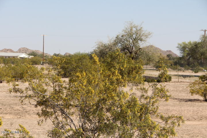 2101 North Hickory Road Maricopa, AZ 85139 - Photo 6 of 16 IMG_1769