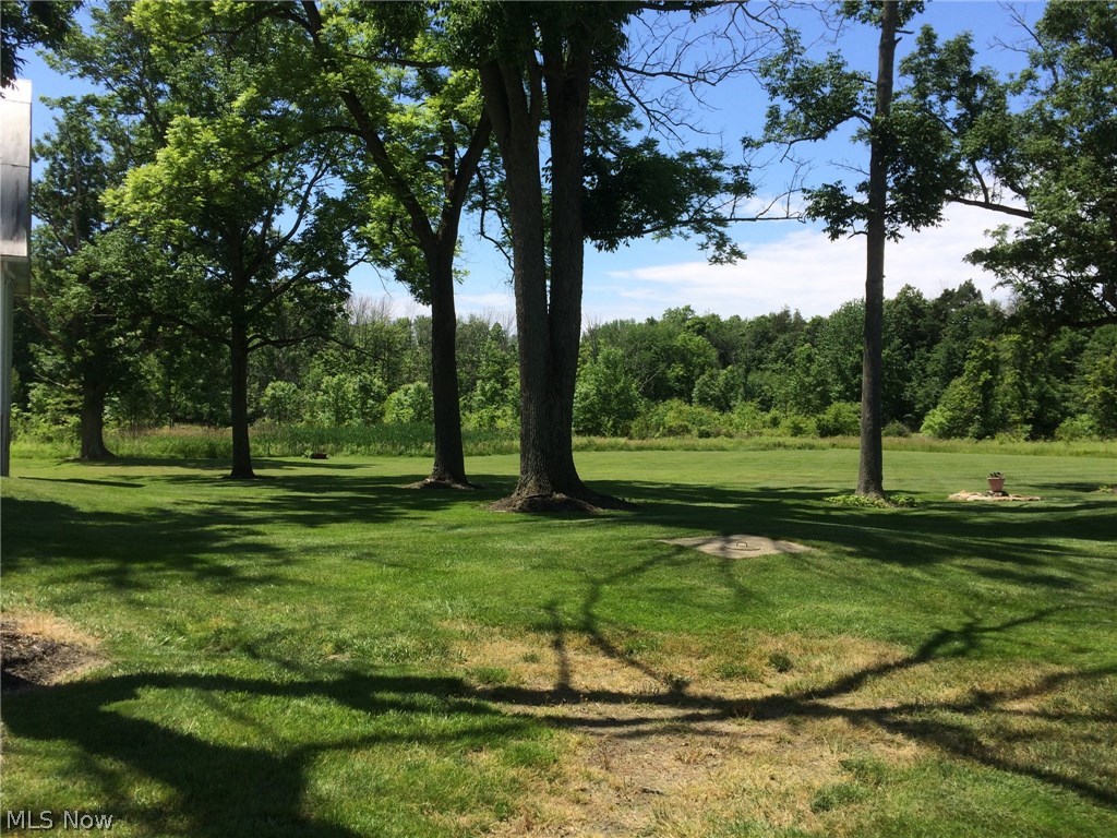 3992 Ridgewood Road Akron, OH 44321 - Photo 23 of 24 Beautiful, large lot