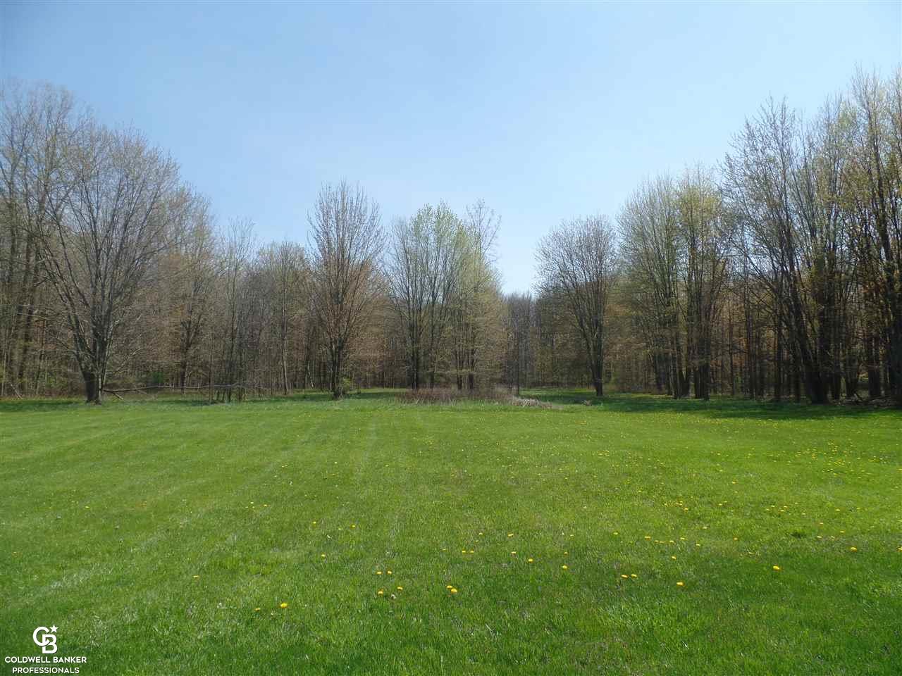 37480 Hebel Road Richmond, MI 48062 - Photo 41 of 58 31289893-40.JPG