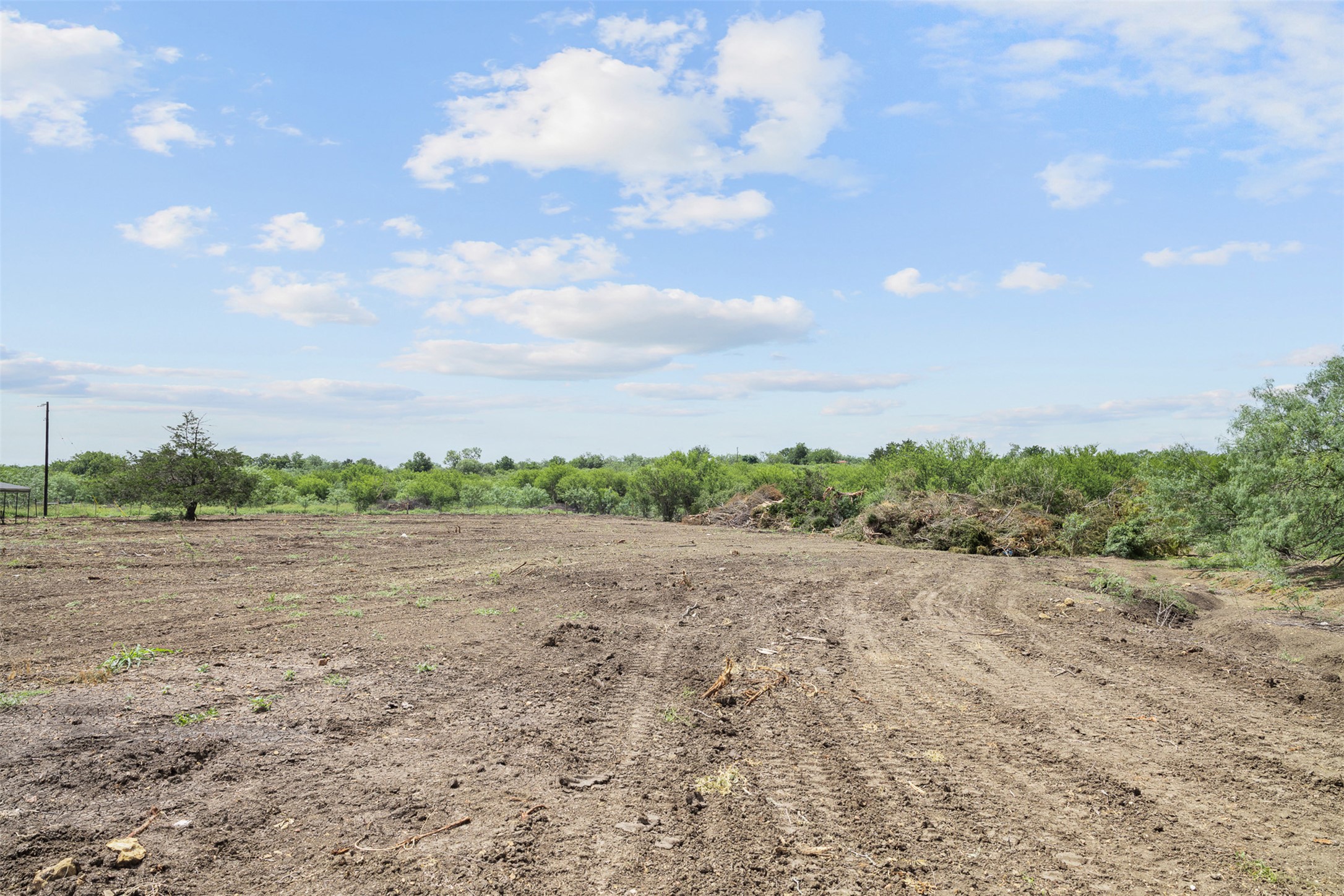 3315 Dry Creek Road Lockhart, TX 78644 - Photo 12 of 26 A spacious, cleared lot with mature trees offers a blank canvas for development under a vast sky.