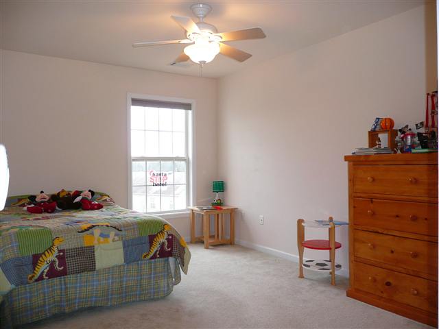 223 Catalan Street Greenville, SC 29607 - Photo 11 of 25 Gallery Image 11