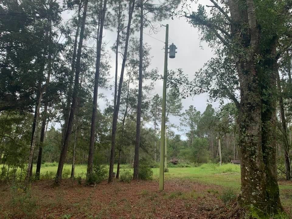26348 Feely Road Elberta, AL 36530 - Photo 13 of 43
