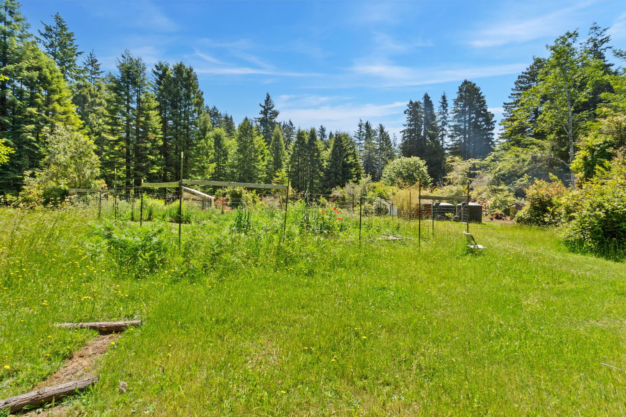 1446 Fox Farm Road Trinidad, CA 95570 - Photo 49 of 64