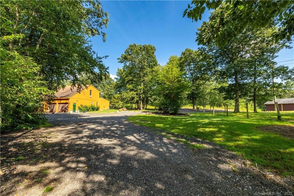a view of a trees in a yard
