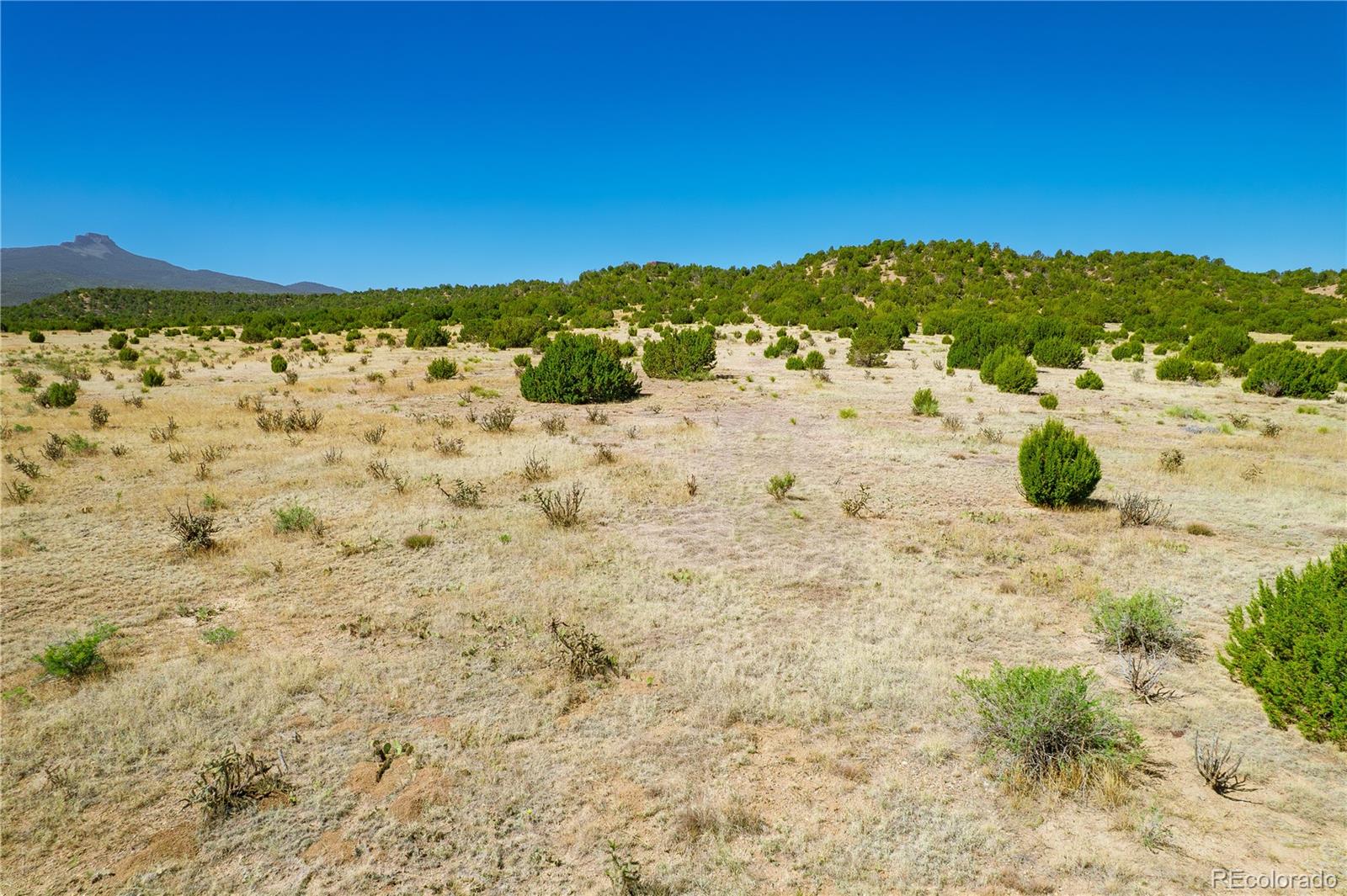 37300 Kunzite Road Trinidad, CO 81082 - Photo 24 of 35
