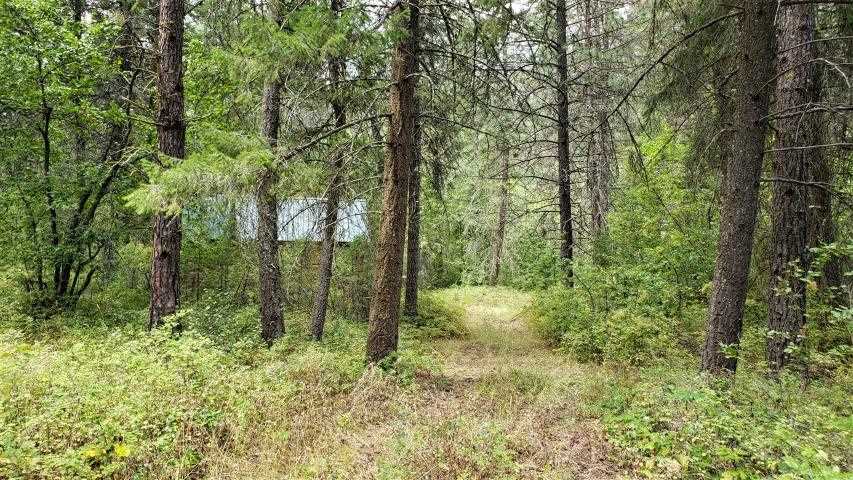 60 Murphy Road Kettle Falls, WA 99141 - Photo 14 of 16 Gallery Image 14