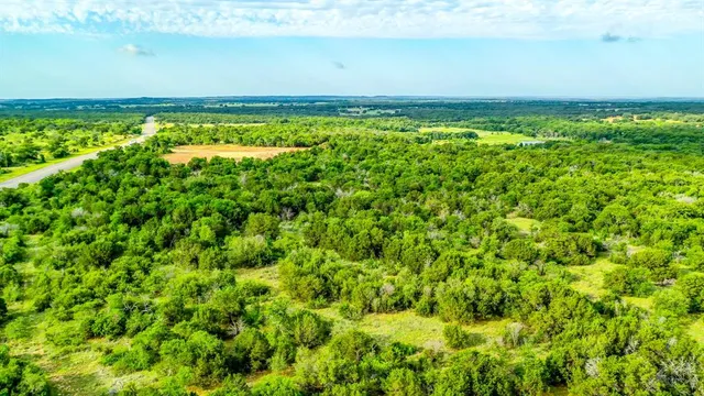 view of a green field with lots of bushes