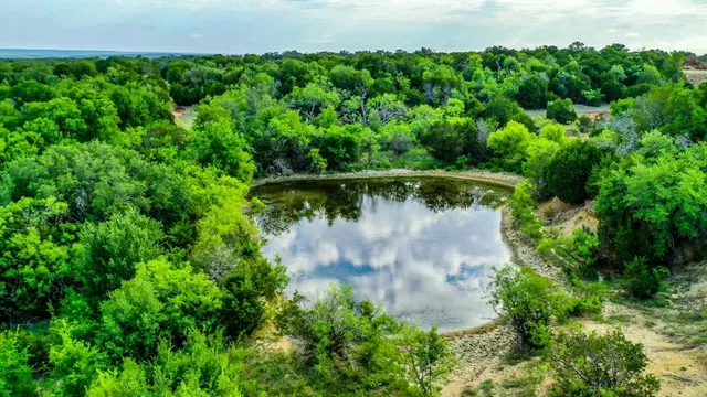 an aerial view of residential houses with outdoor space and trees