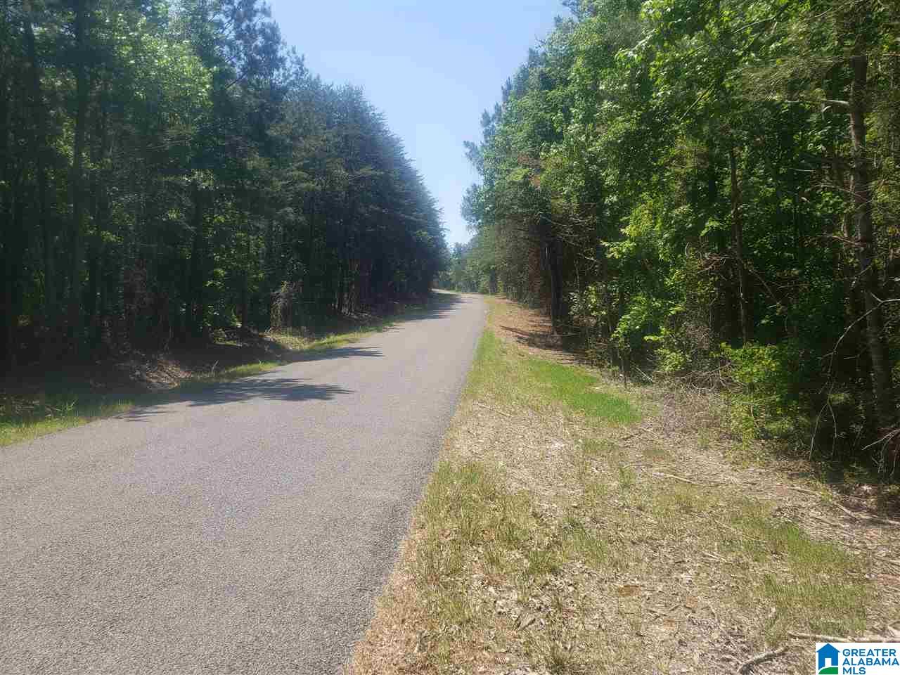 Burton Loop Road, Unit 1 Altoona, AL 35952 - Photo 3 of 10
