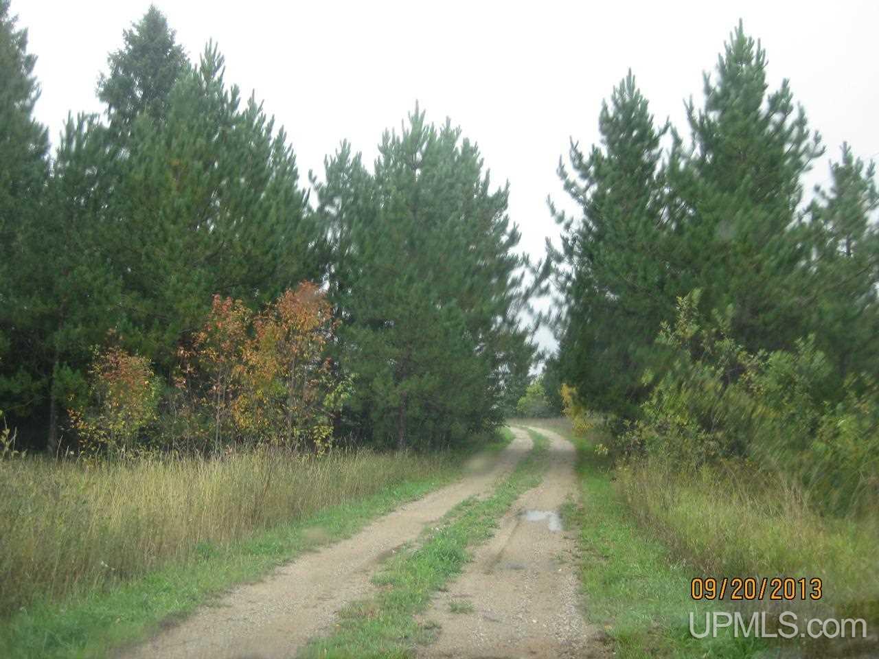 E12703 Johnson Road Shingleton, MI 49884 - Photo 18 of 23