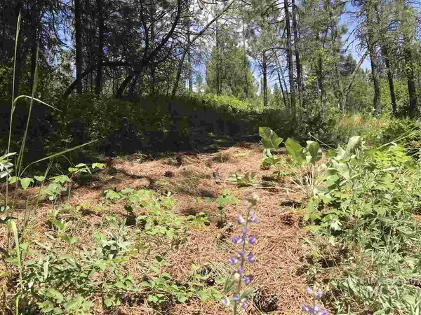 $310,000 | Lot 2 Card Creek, Unit 3, Garden Valley, ID 83622